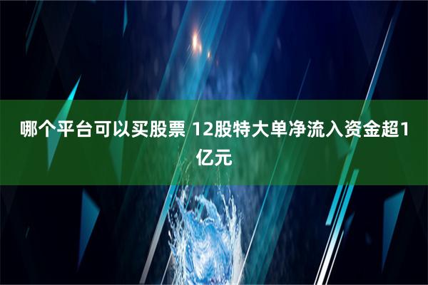 哪个平台可以买股票 12股特大单净流入资金超1亿元