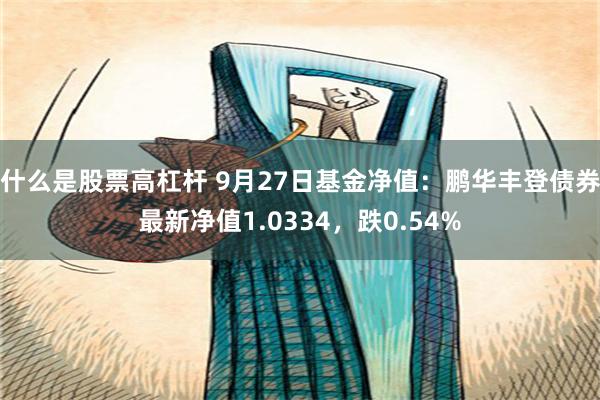 什么是股票高杠杆 9月27日基金净值：鹏华丰登债券最新净值1.0334，跌0.54%