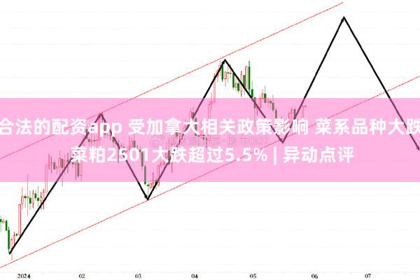 合法的配资app 受加拿大相关政策影响 菜系品种大跌 菜粕2501大跌超过5.5% | 异动点评