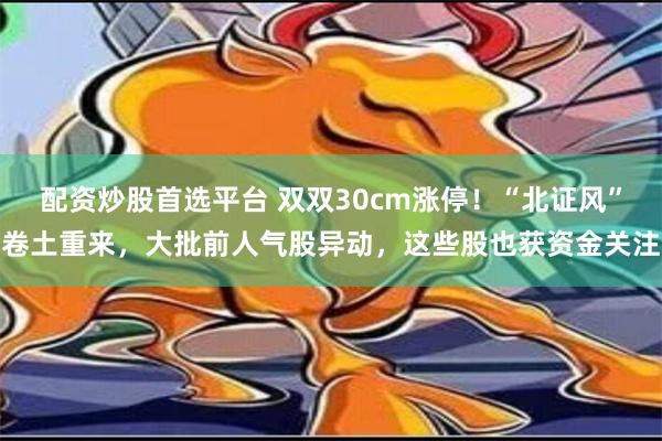 配资炒股首选平台 双双30cm涨停！“北证风”卷土重来，大批前人气股异动，这些股也获资金关注