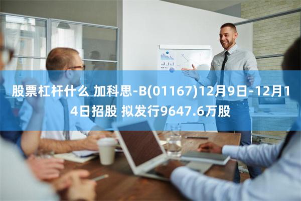 股票杠杆什么 加科思-B(01167)12月9日-12月14日招股 拟发行9647.6万股