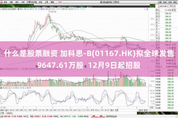 什么是股票融资 加科思-B(01167.HK)拟全球发售9647.61万股  12月9日起招股